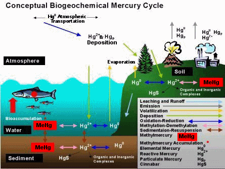 Diagrams Of Mercury