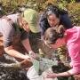 Acadia Learning for Participatory Science